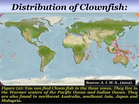 bdo clownfish location.